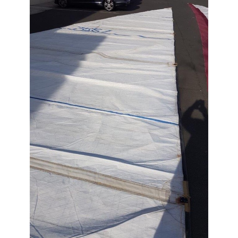 Mainsail #DOY-013