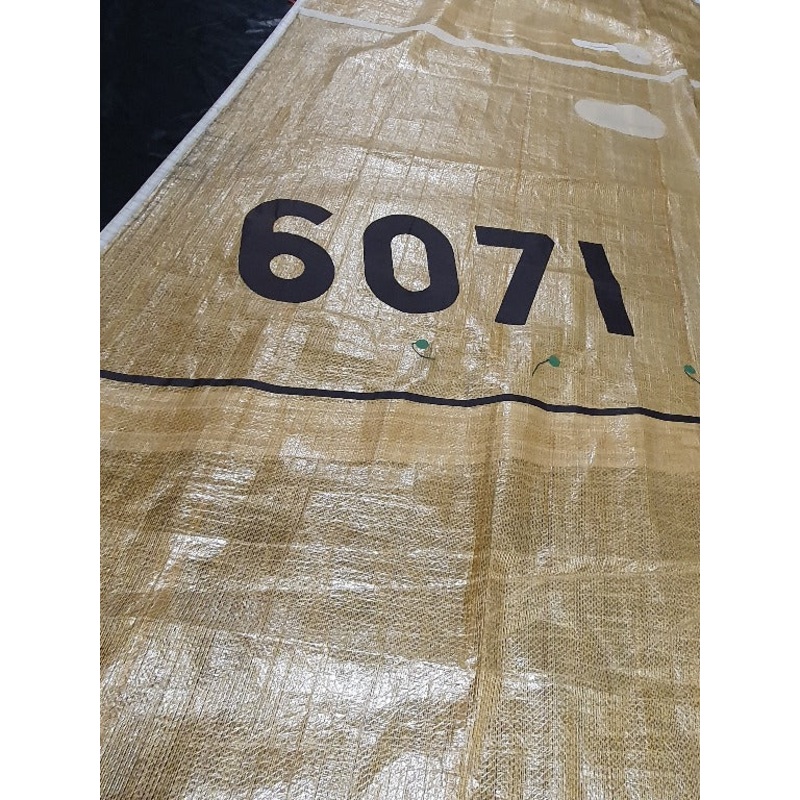 Mainsail #GBM-003