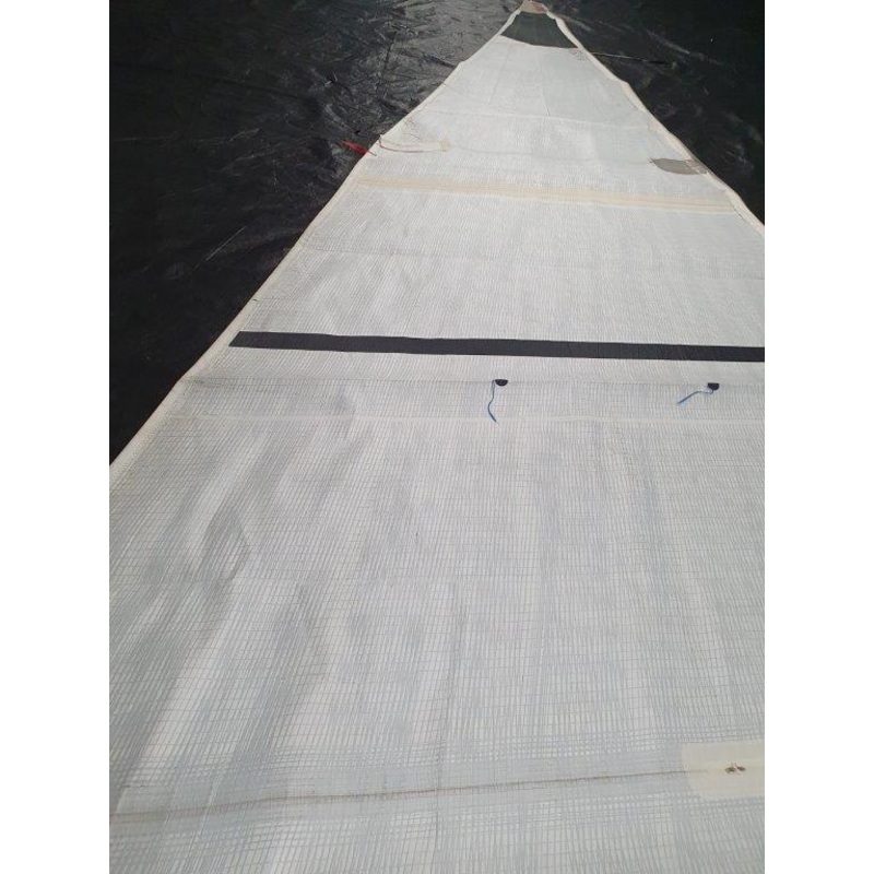 Mainsail (IBF) #PCO-001