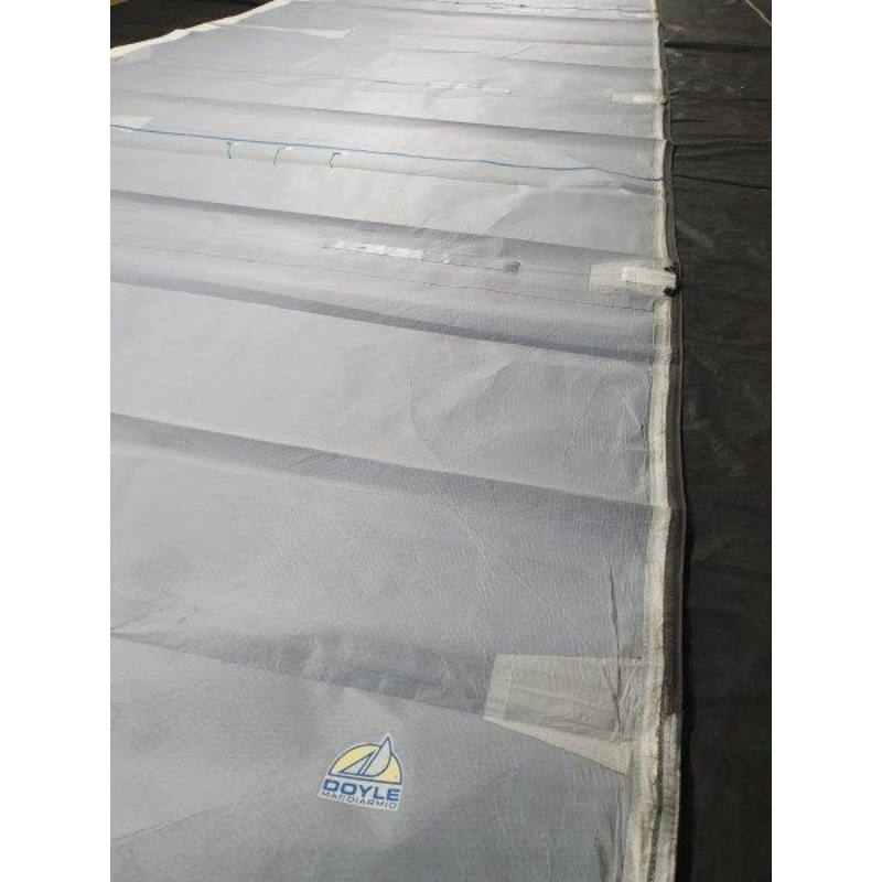 Mainsail (IBF) #DOY-053