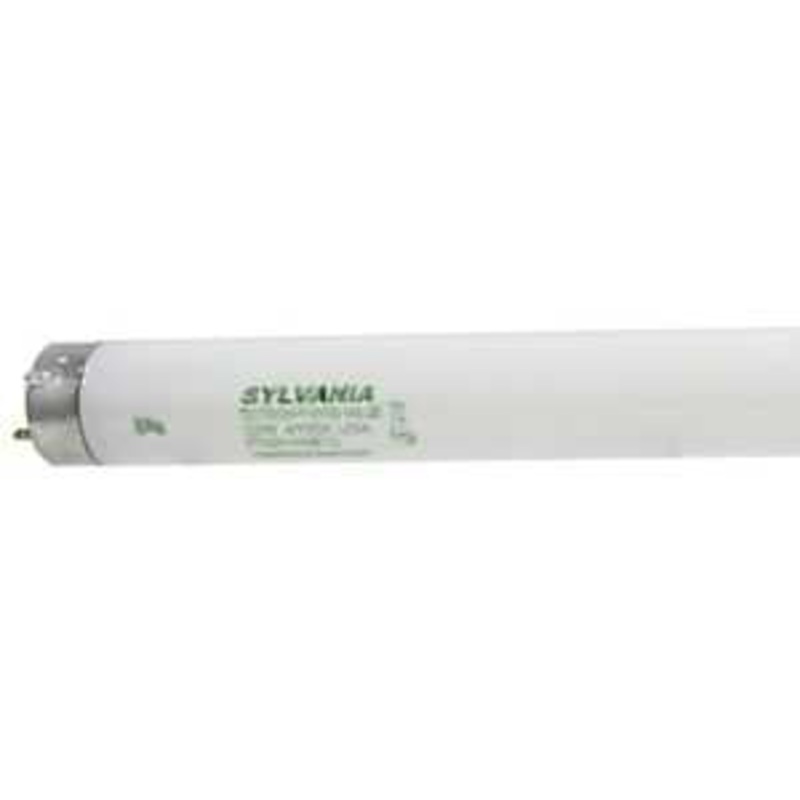 22433 BULB FLUOR 32W CW BP 48I