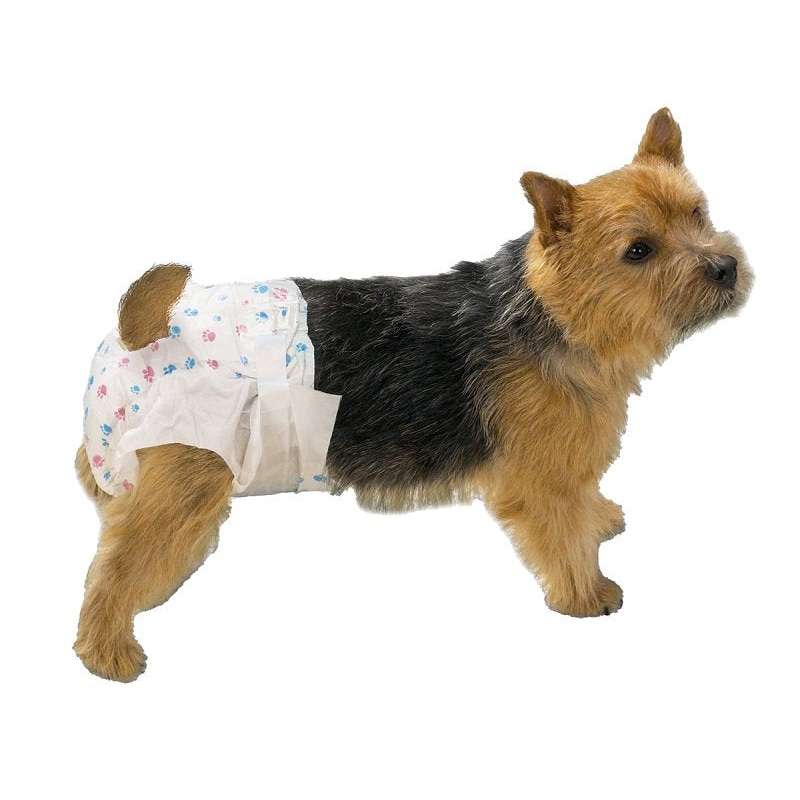 ClearQuest US948 08 Disposable Doggy Diaper