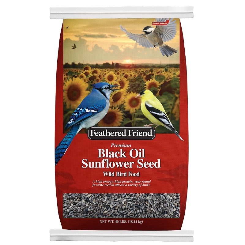 Feathered Friend 14422 Black Oil Sunflower Seed, 40 lb