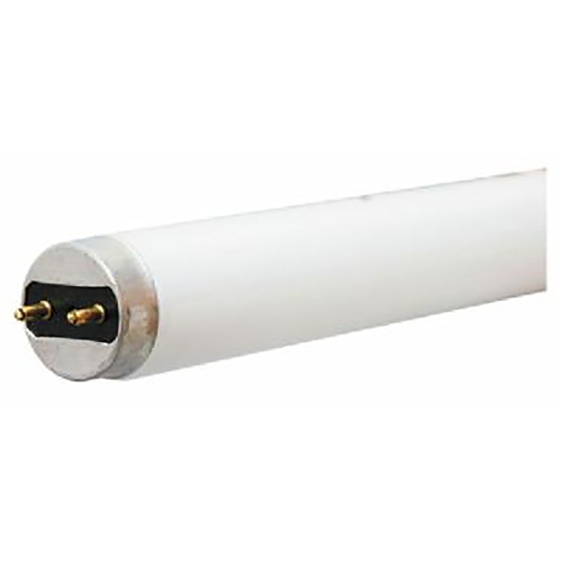 GE 66828 Light Bulb, 32 W, T8 Lamp, G13 Medium Bi-Pin Lamp Base, 2975 Lumens, 4100 K Color Temp, Cool White Light