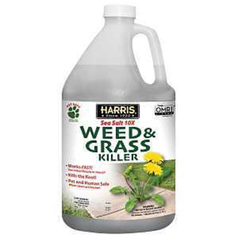 Harris CALSEAWEED-128 Weed and Grass Killer, Liquid, Clear, 128 oz