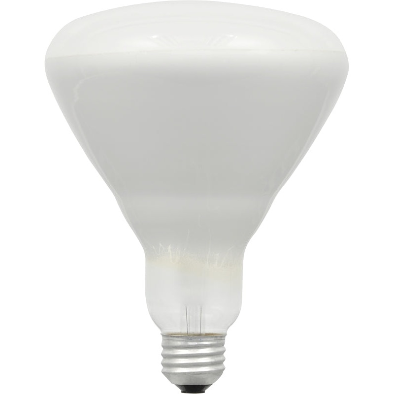 10079 BULB HALOGEN FLOOD 50W