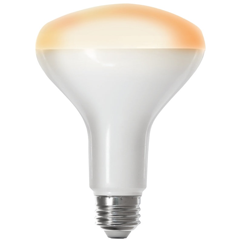 BR30/927CA/AG BR30 ALX/GOOG