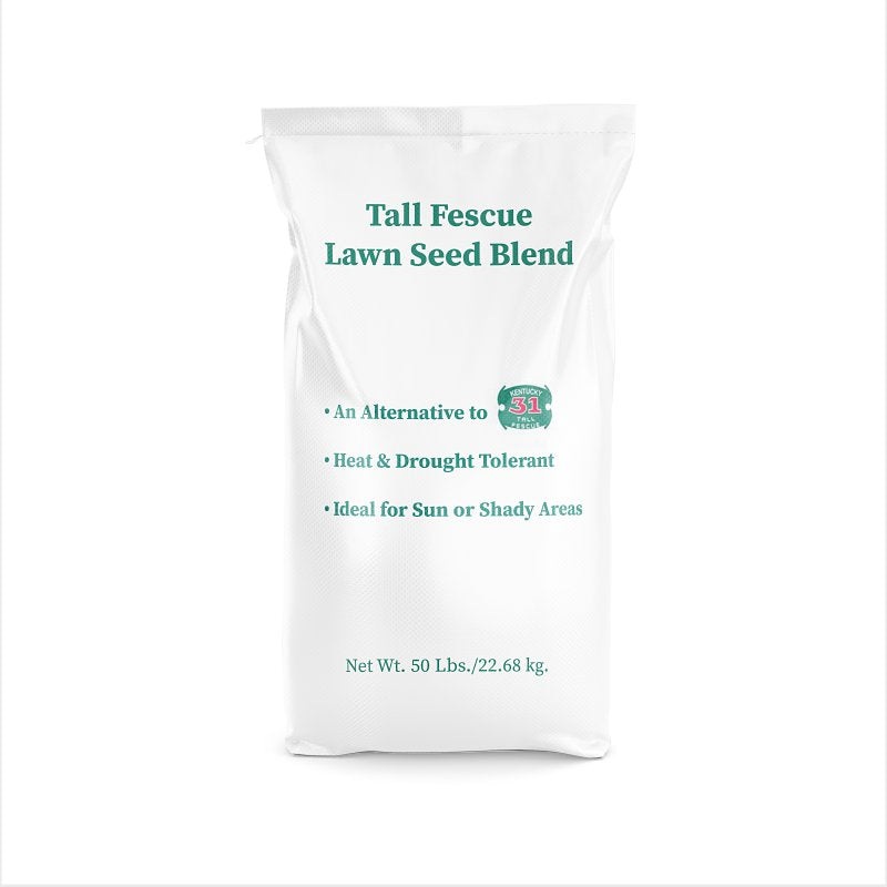 Barenbrug 14074 Grass Seed, 50 lb Bag, 10,000 sq-ft Coverage Area, Tall Fescue