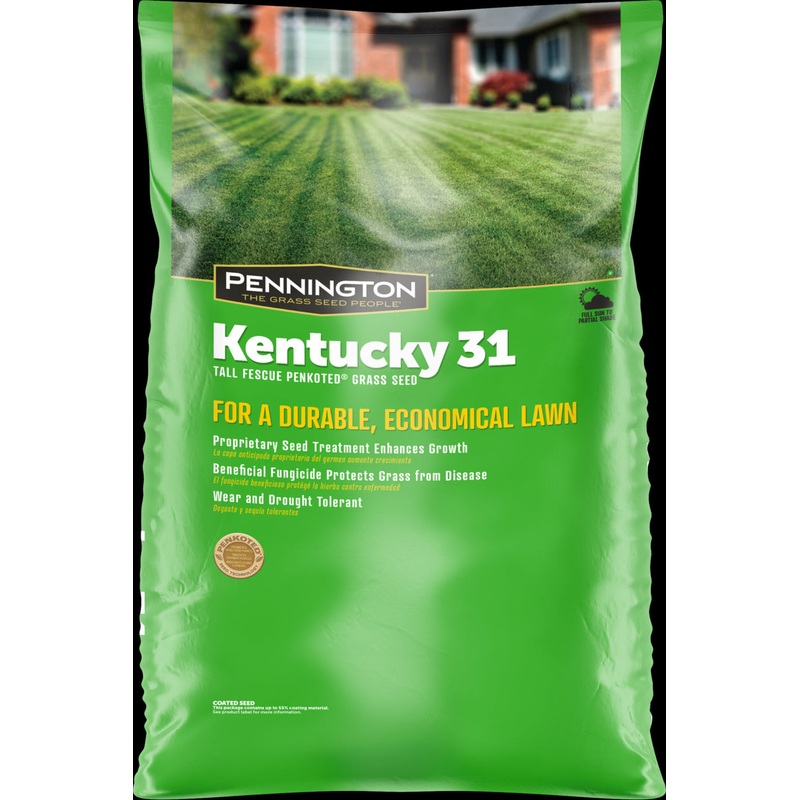 Pennington Kentucky 31 Series 100516056 Grass Seed, 50 lb Bag