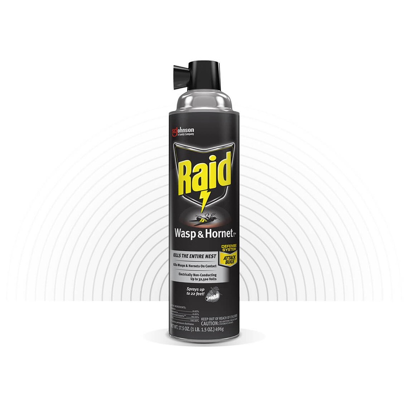 RAID WASP & HORNET KILLER 33